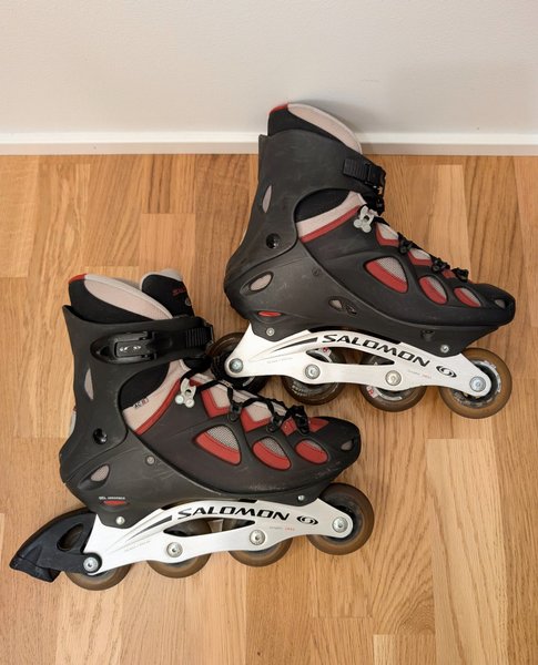 galleryimage 2