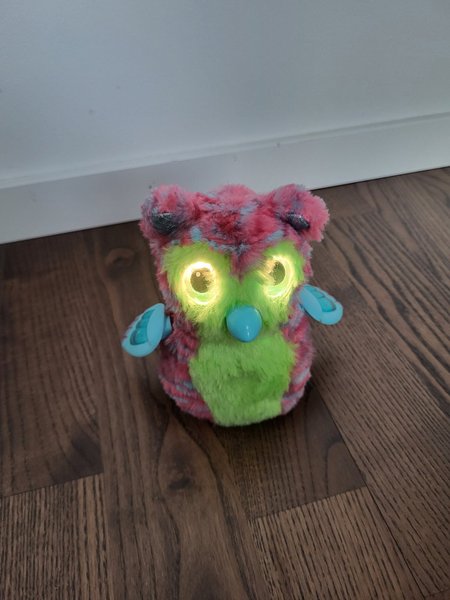 galleryimage 2
