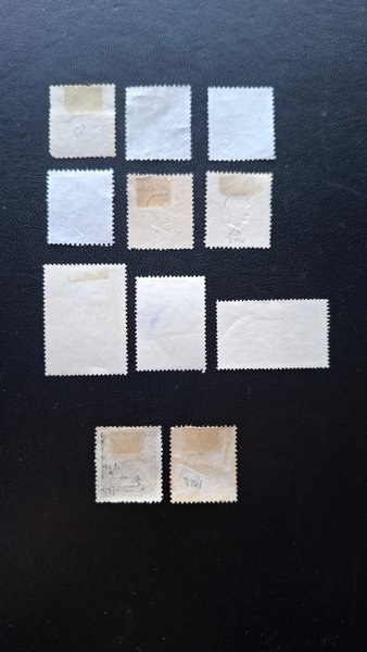 galleryimage 2 zoomed in