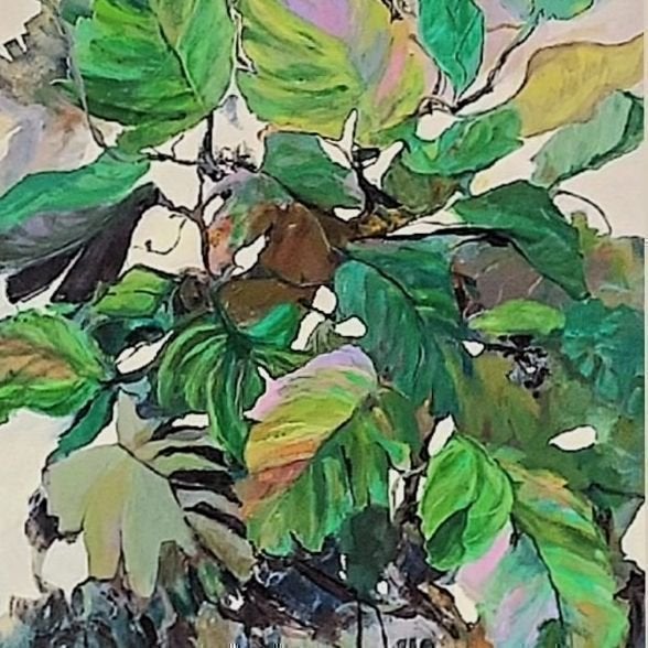 galleryimage 3