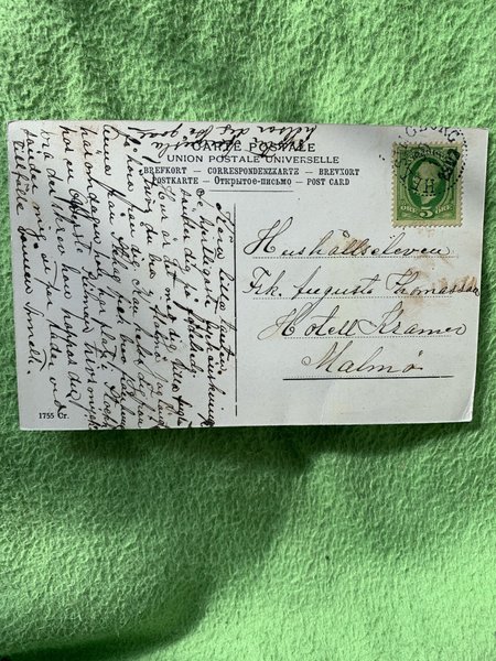 galleryimage 2 zoomed in