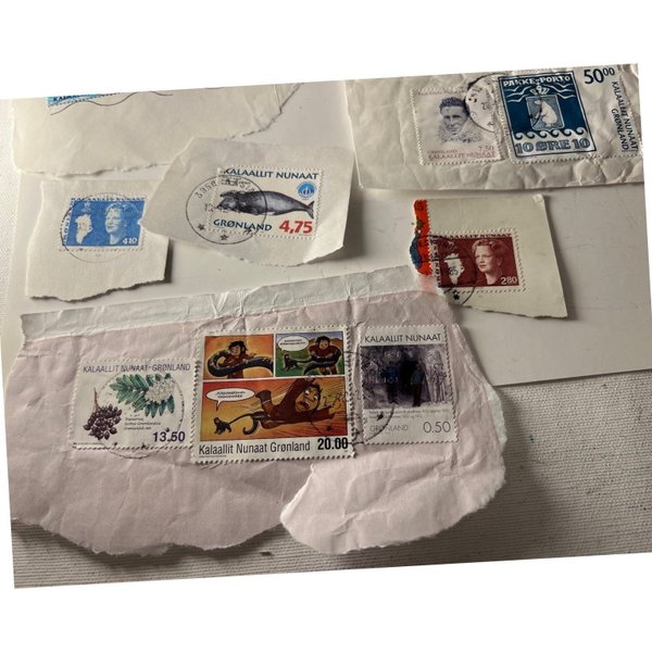 galleryimage 2