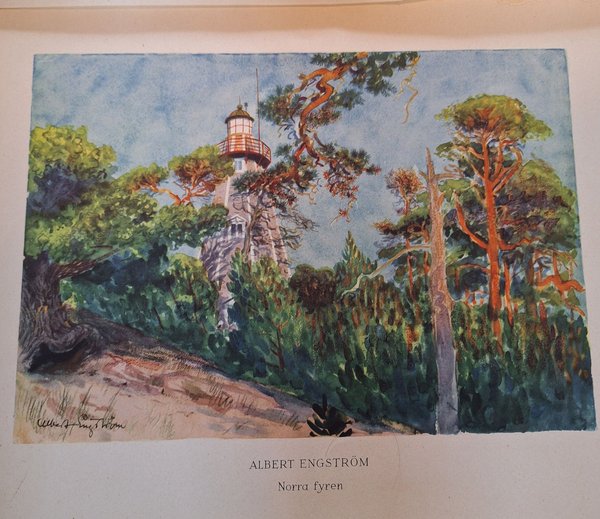 galleryimage 3