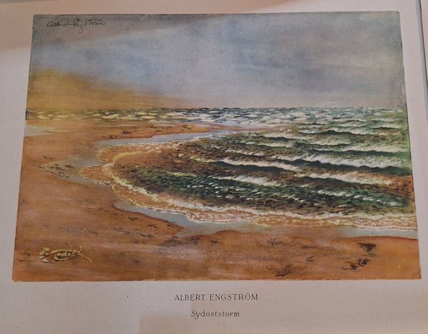 galleryimage 2