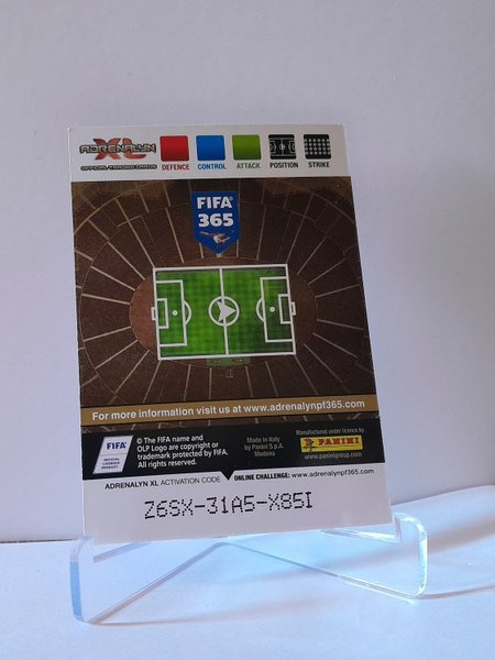 galleryimage 2 zoomed in