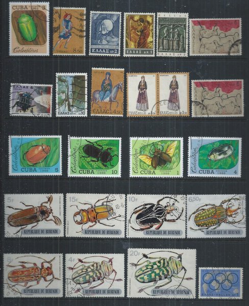 galleryimage 3
