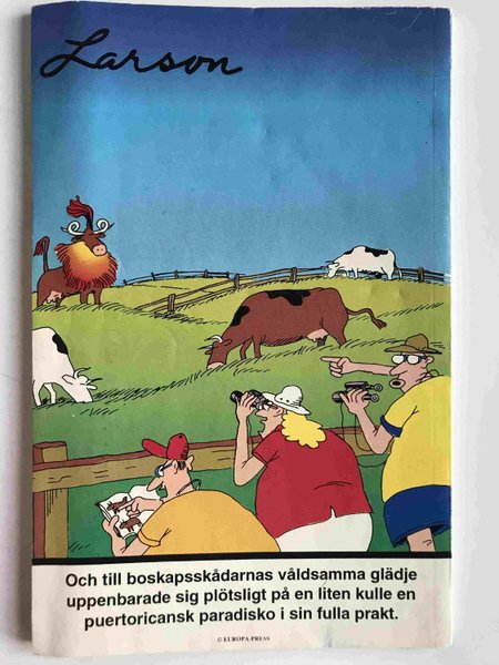 galleryimage 2