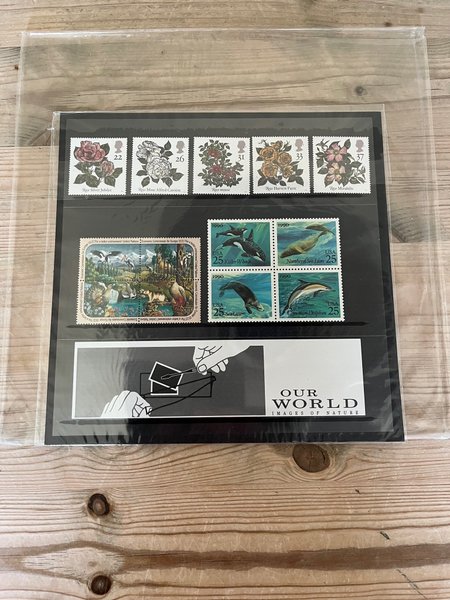 galleryimage 3