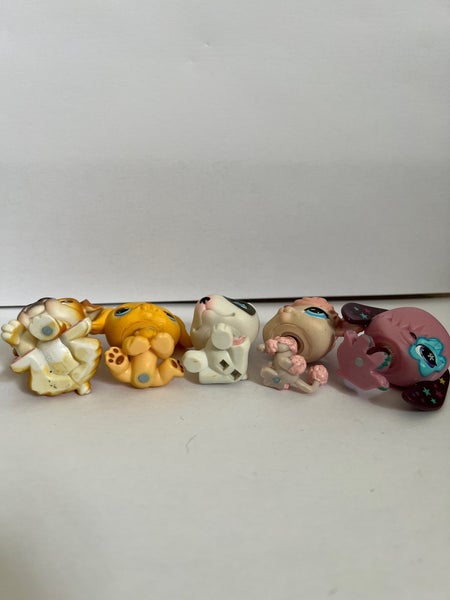 galleryimage 2