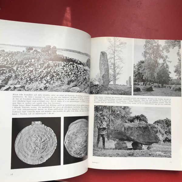 galleryimage 3