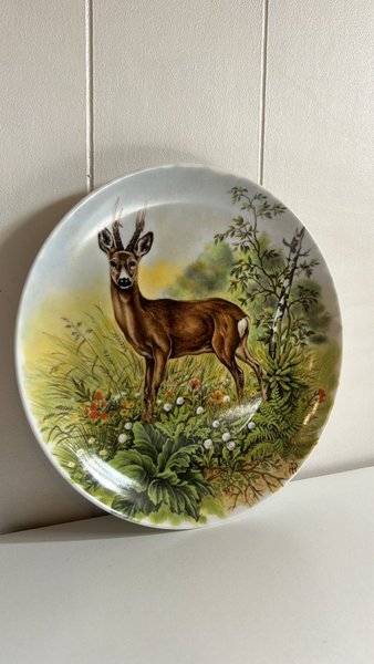 galleryimage 2