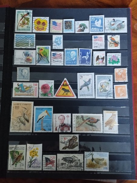 galleryimage 2