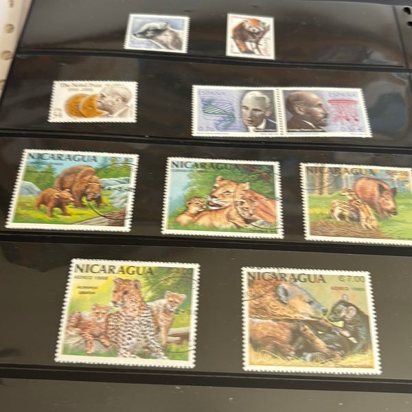 galleryimage 2