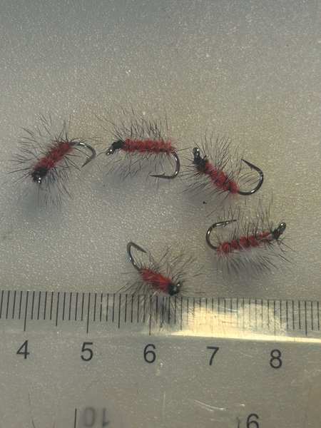 galleryimage 2 zoomed in