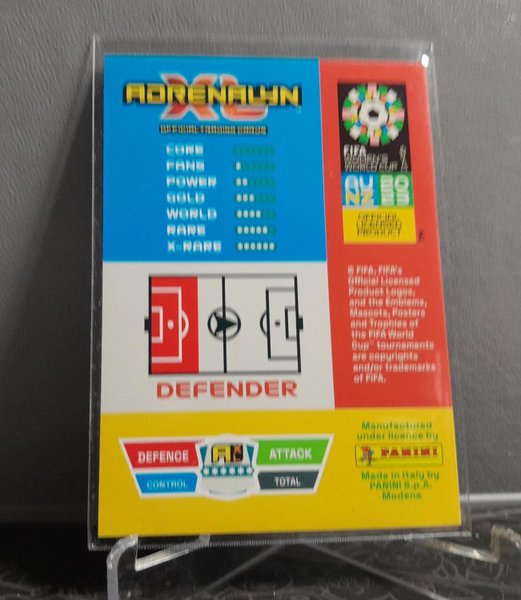 galleryimage 2 zoomed in