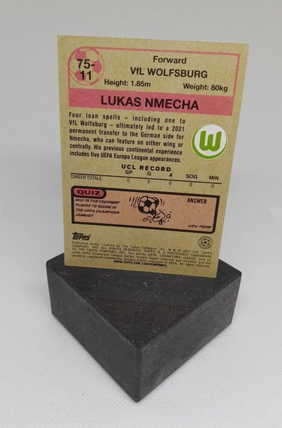 galleryimage 2 zoomed in