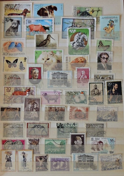 galleryimage 3