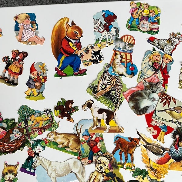 galleryimage 3