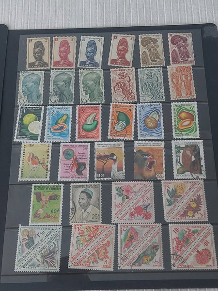 galleryimage 3