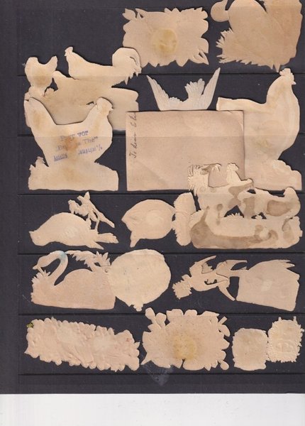 galleryimage 2 zoomed in