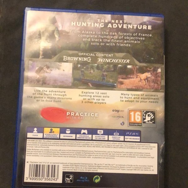 galleryimage 2 zoomed in