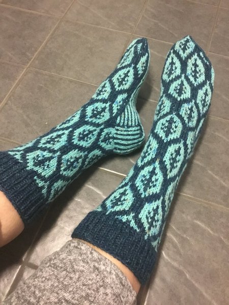 galleryimage 2 zoomed in