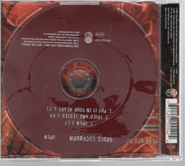 galleryimage 2 zoomed in