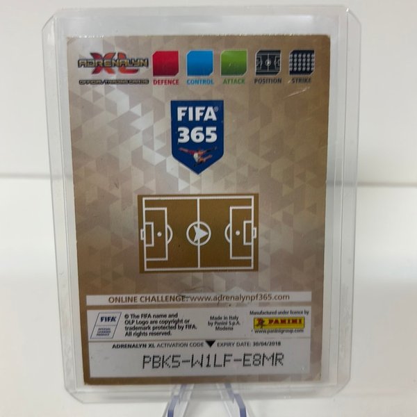 galleryimage 2 zoomed in