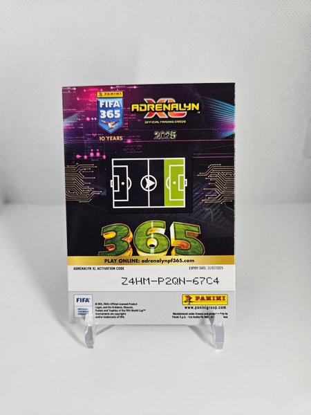 galleryimage 2 zoomed in