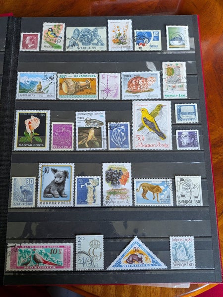galleryimage 2