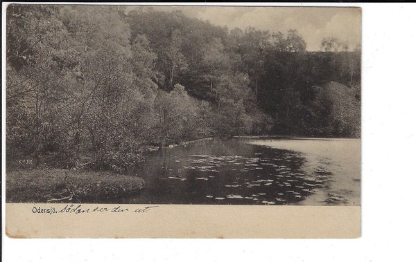 galleryimage 2 zoomed in