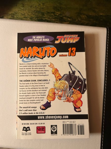 galleryimage 2 zoomed in