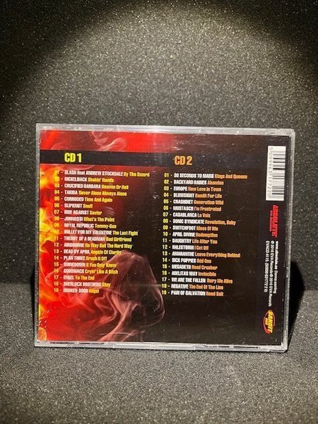 galleryimage 2 zoomed in