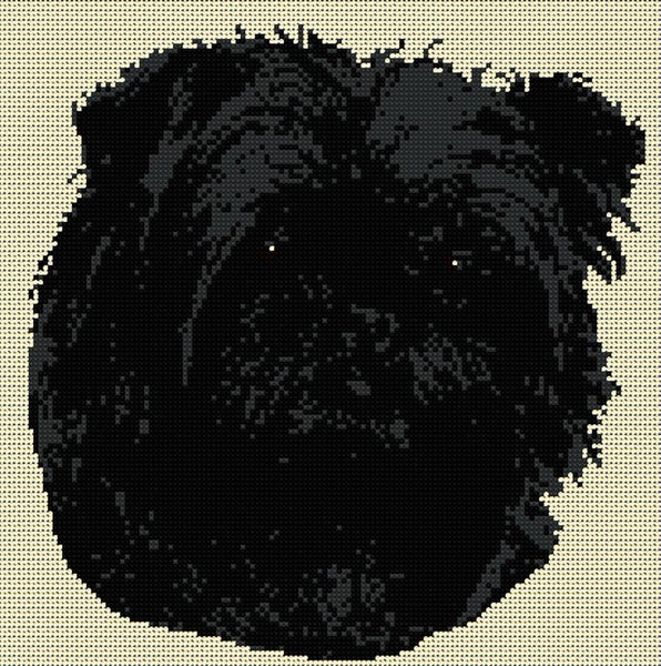 galleryimage 2 zoomed in