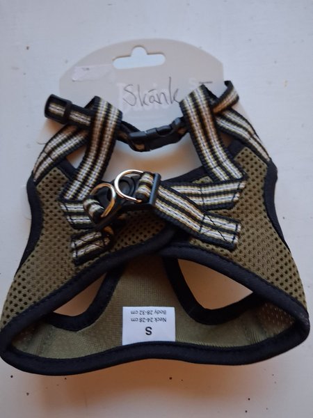 galleryimage 2 zoomed in