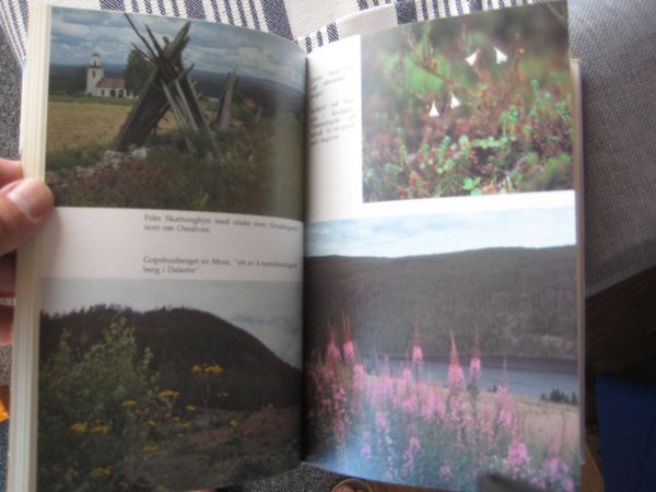 galleryimage 3