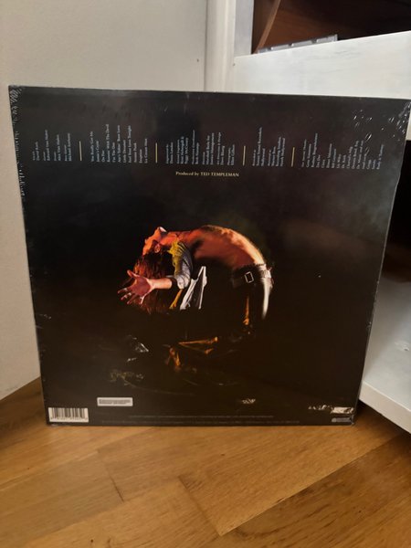 galleryimage 2 zoomed in