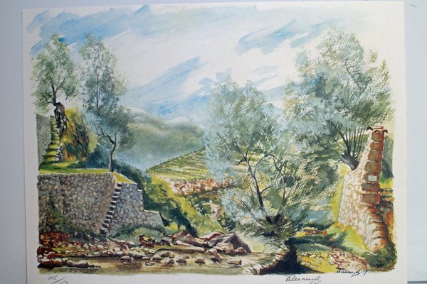 galleryimage 2