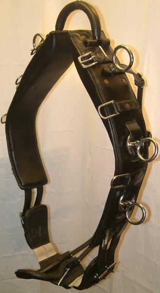galleryimage 2
