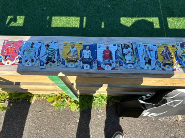 galleryimage 2