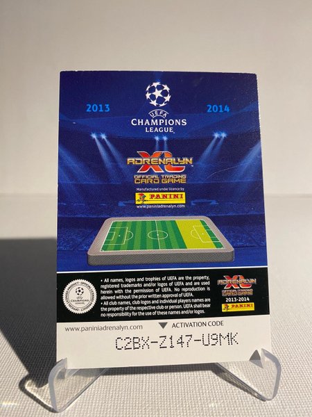 galleryimage 2 zoomed in