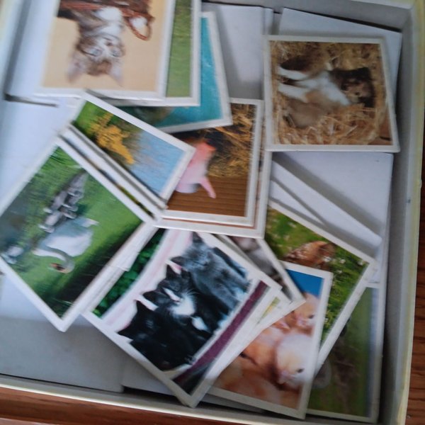 galleryimage 2