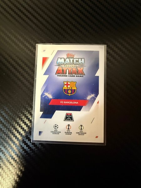 galleryimage 2 zoomed in