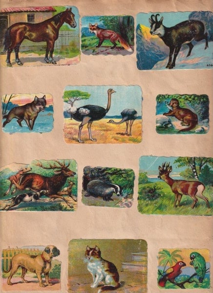 galleryimage 2