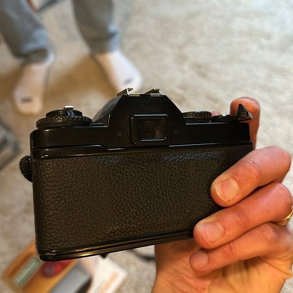 galleryimage 2