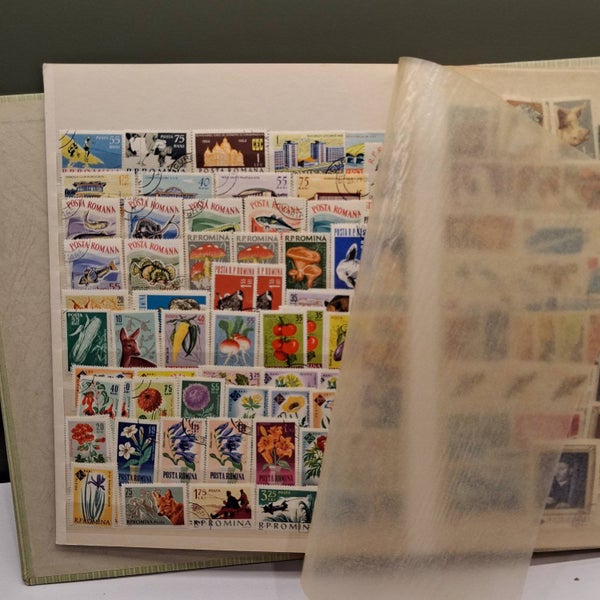 galleryimage 2