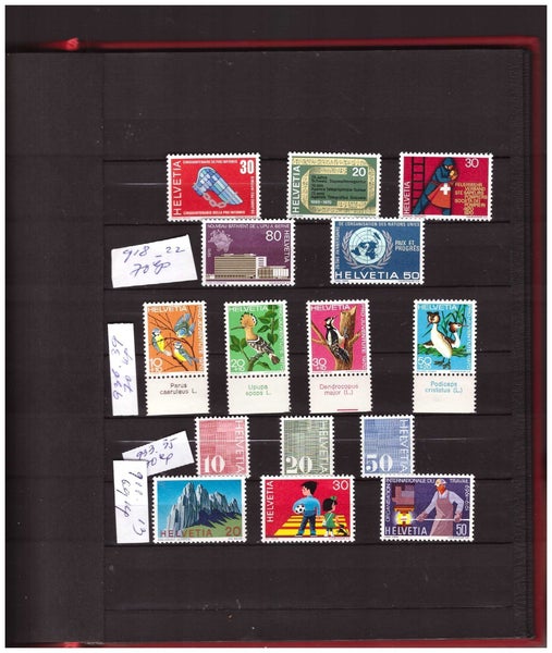 galleryimage 2