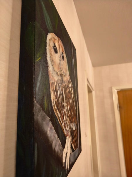 galleryimage 3