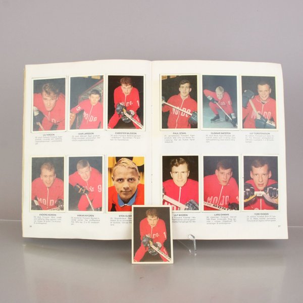 galleryimage 3