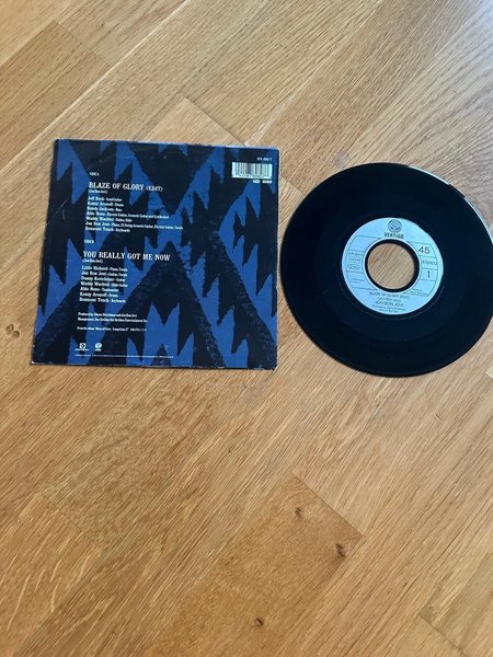 galleryimage 2 zoomed in